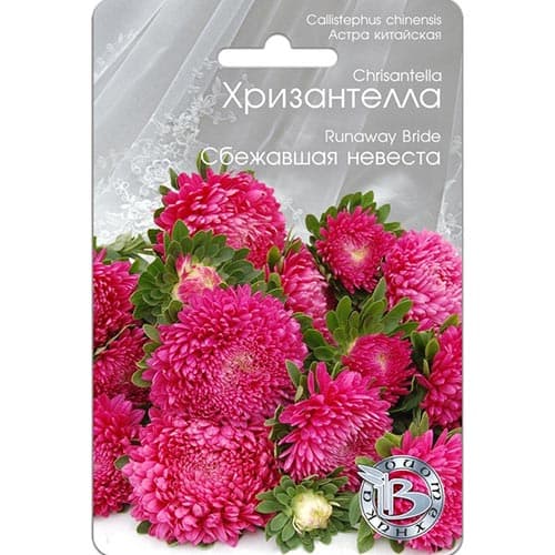 Астра Хризантелла Сбежавшая невеста Биотехника изображение 1 артикул 91567
