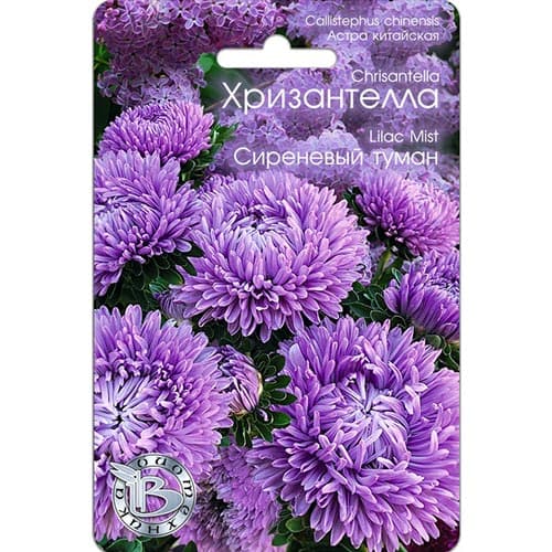 Астра Хризантелла Сиреневый туман Биотехника изображение 1 артикул 91568
