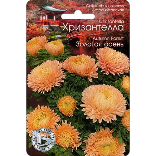 Астра Хризантелла Золотая осень Биотехника изображение 1 артикул 91561
