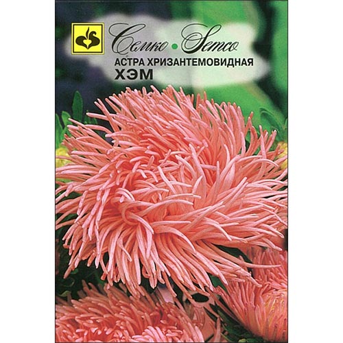 Астра Хризантемовидная Хэм Семко изображение 1 артикул 94293