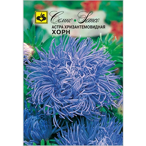 Астра Хризантемовидная Хорн Семко изображение 1 артикул 94292
