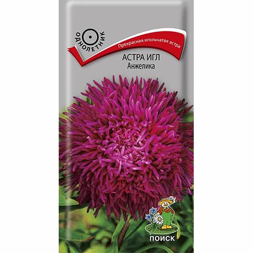 Астра Игл Анжелика Поиск изображение 1 артикул 82037