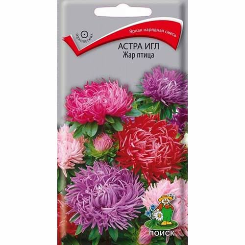 Астра Игл Жар-птица, смесь окрасок Поиск изображение 1 артикул 82039