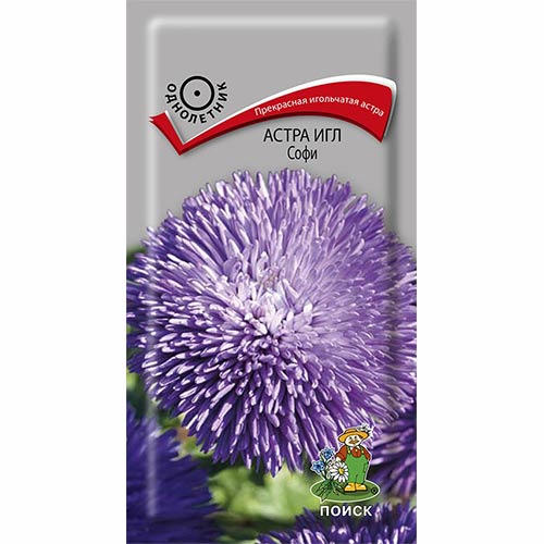 Астра Игл Софи Поиск изображение 1 артикул 82041