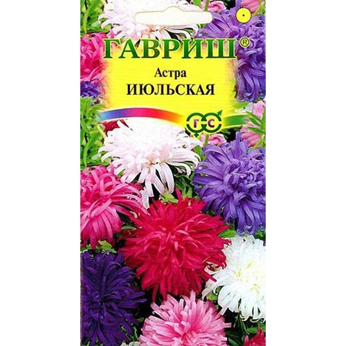 Астра Июльская, смесь окрасок Гавриш изображение 1 артикул 91929