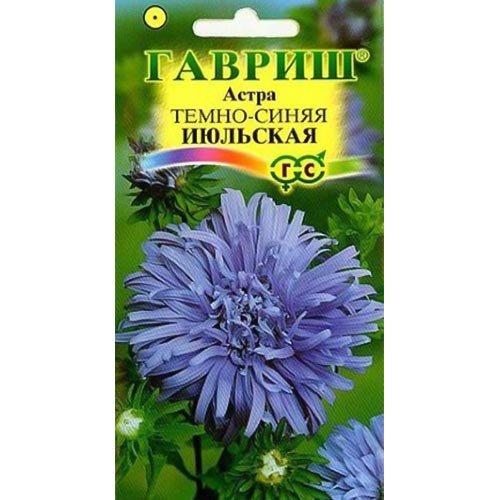 Астра Июльская темно-синяя Гавриш изображение 1 артикул 91928