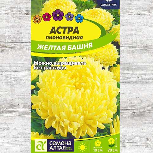 Астра Желтая башня артикул фото 1 Астра Желтая башня изображение 1 артикул 81611