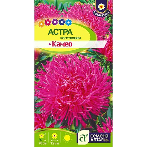 Астра Камео Семена Алтая изображение 1 артикул 94119