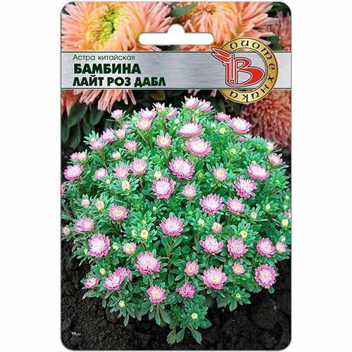 Астра Бамбина Лайт Роз Дабл Биотехника изображение 1 артикул 74778