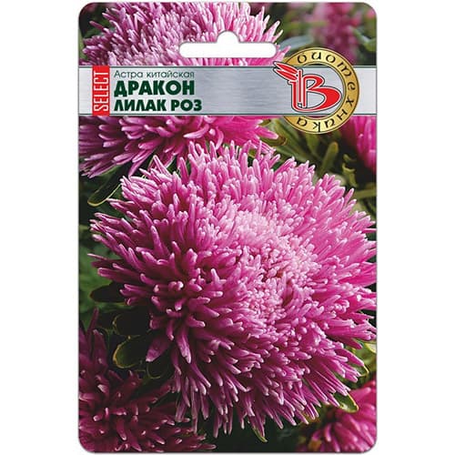 Астра китайская Дракон селект Лилак Роуз Биотехника изображение 1 артикул 74050