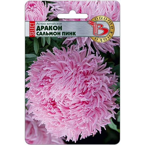 Астра китайская Дракон селект Сальмон Пинк Биотехника изображение 1 артикул 74052