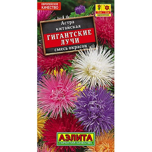 Астра китайская Гигантские лучи, смесь окрасок Аэлита артикул фото 1 Астра китайская Гигантские лучи, смесь окрасок Аэлита изображение 1 артикул 98828