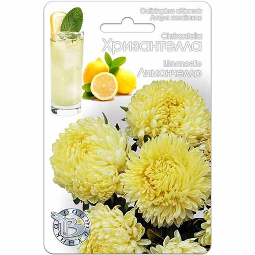 Астра китайская Хризантелла Лимончелло Биотехника изображение 1 артикул 74065