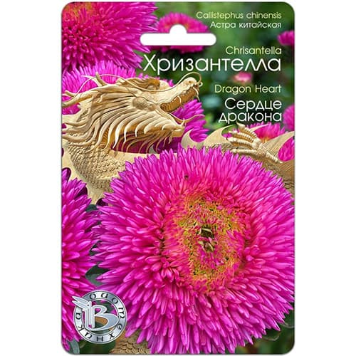 Астра китайская Хризантелла Сердце Дракона Биотехника изображение 1 артикул 97322