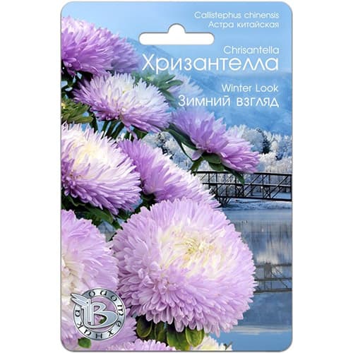 Астра китайская Хризантелла Зимний взгляд Биотехника артикул фото 1 Астра китайская Хризантелла Зимний взгляд Биотехника изображение 1 артикул 97321