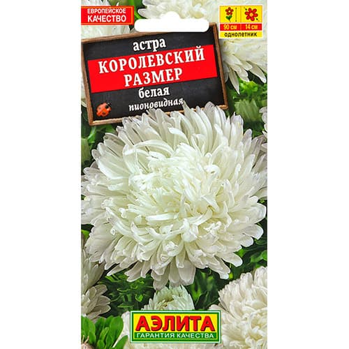 Астра Королевский размер белая Аэлита изображение 1 артикул 98829
