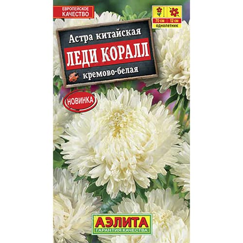 Астра китайская Леди Коралл кремово-белая Аэлита артикул фото 1 Астра китайская Леди Коралл кремово-белая Аэлита изображение 1 артикул 98831