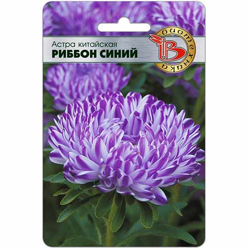 Астра Риббон синий Биотехника изображение 1 артикул 74785