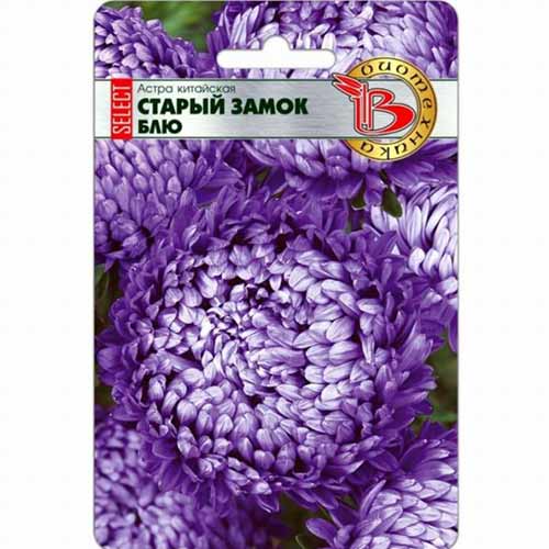 Астра китайская Старый замок селект Блю Биотехника изображение 1 артикул 74053
