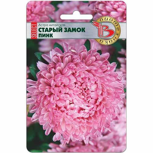 Астра китайская Старый замок селект Пинк Биотехника артикул фото 1 Астра китайская Старый замок селект Пинк Биотехника изображение 1 артикул 74056