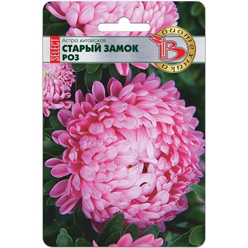 Астра китайская Старый замок селект Роз Биотехника изображение 1 артикул 74057