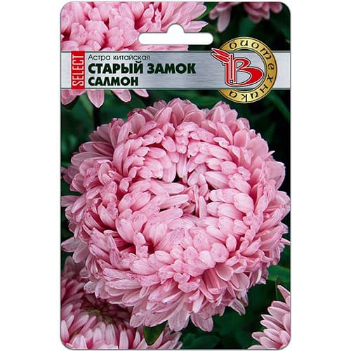 Астра китайская Старый замок селект Салмон Биотехника изображение 1 артикул 74058