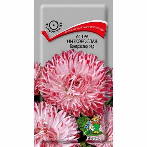 Астра Контрастер Ред Поиск изображение 1 артикул 82053