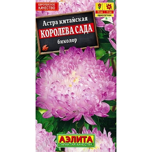 Астра Королева сада биколор Аэлита изображение 1 артикул 40277