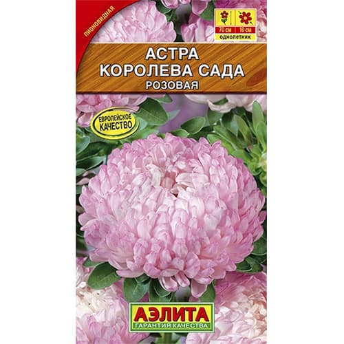 Астра Королева сада розовая Аэлита артикул фото 1 Астра Королева сада розовая Аэлита изображение 1 артикул 40279