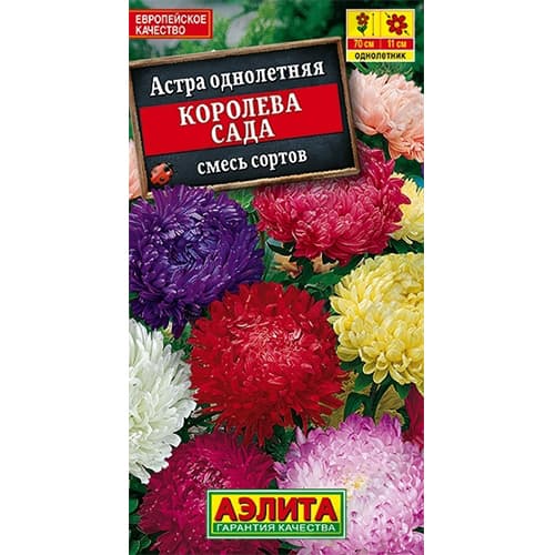 Астра Королева сада, смесь окрасок Аэлита изображение 1 артикул 40281