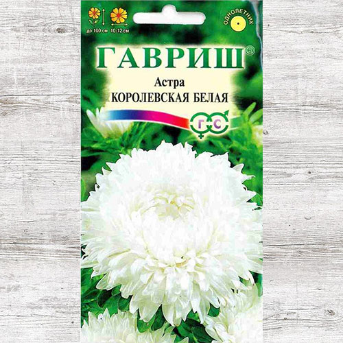 Астра Королевская белая Гавриш изображение 1 артикул 71114