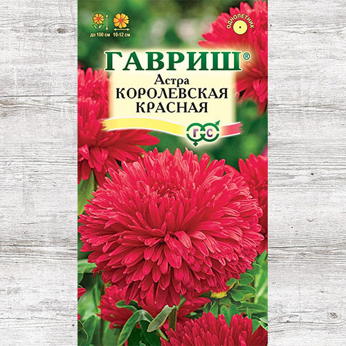 Астра Королевская красная артикул фото 1 Астра Королевская красная изображение 1 артикул 71115