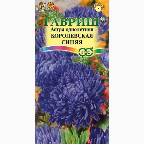 Астра Королевская синяя Гавриш артикул фото 1 Астра Королевская синяя Гавриш изображение 1 артикул 97586