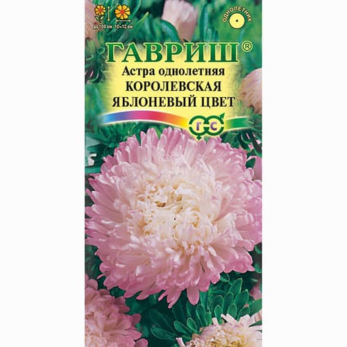 Астра Королевская яблоневый цвет Гавриш изображение 1 артикул 65935
