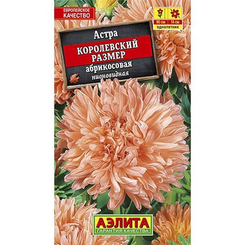 Астра Королевский размер абрикосовая Аэлита изображение 1 артикул 98860