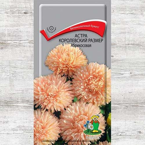 Астра Королевский размер абрикосовая изображение 1 артикул 82043