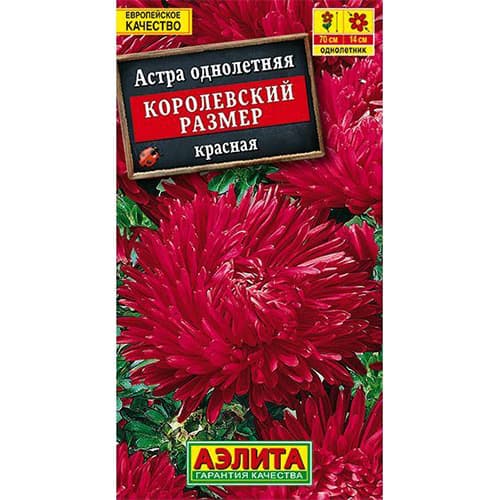 Астра Королевский размер красная Аэлита артикул фото 1 Астра Королевский размер красная Аэлита изображение 1 артикул 98846