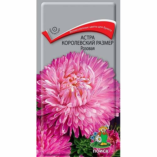 Астра Королевский размер розовая Поиск изображение 1 артикул 82046