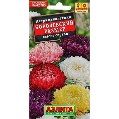 Астра Королевский размер, смесь окрасок Поиск артикул фото 1 Астра Королевский размер, смесь окрасок Поиск изображение 1 артикул 82048