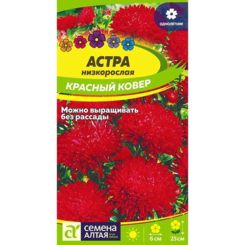 Астра Красный ковер Семена Алтая артикул фото 1 Астра Красный ковер Семена Алтая изображение 1 артикул 84795
