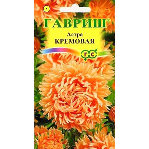 Астра Кремовая Гавриш изображение 1 артикул 91932