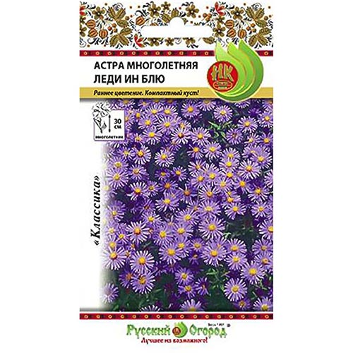 Астра Леди Ин Блу НК изображение 1 артикул 92428