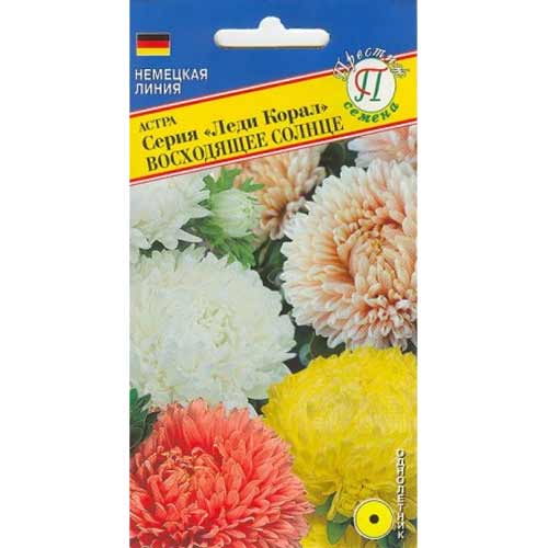 Астра Леди Корал Восходящее солнце, смесь окрасок Престиж изображение 1 артикул 65793