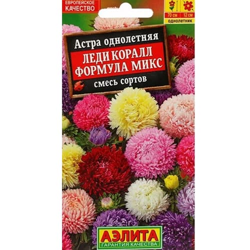 Астра Леди Коралл формула микс, смесь окрасок Аэлита изображение 1 артикул 98848