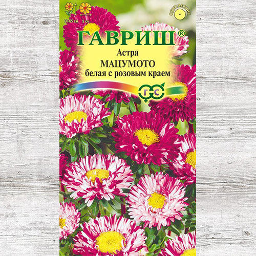 Астра Мацумото белая с розовым краем Гавриш изображение 1 артикул 71118