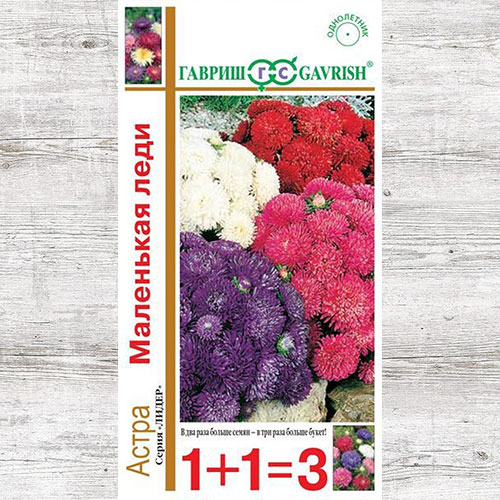 Астра Маленькая леди, смесь окрасок Гавриш артикул фото 1 Астра Маленькая леди, смесь окрасок Гавриш изображение 1 артикул 65937