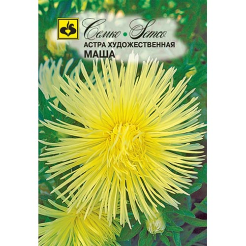 Астра Маша Семко изображение 1 артикул 94282
