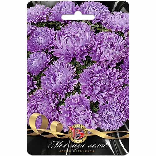 Астра Май Леди Лилак Биотехника изображение 1 артикул 84602