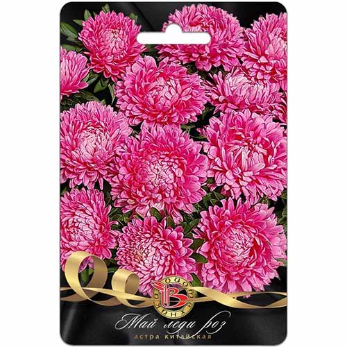 Астра Май Леди Роз Биотехника изображение 1 артикул 84603