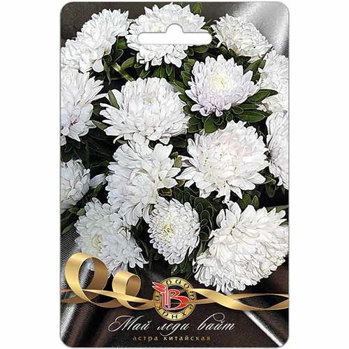 Астра Май Леди Вайт Биотехника артикул фото 1 Астра Май Леди Вайт Биотехника изображение 1 артикул 84600